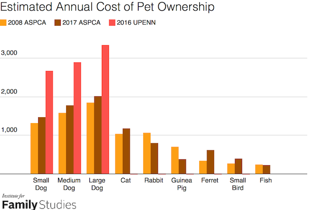 after effects cost per year