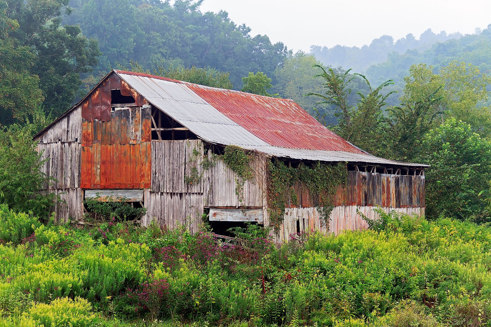 The Appalachian GoRound Family Instability in America’s Highland