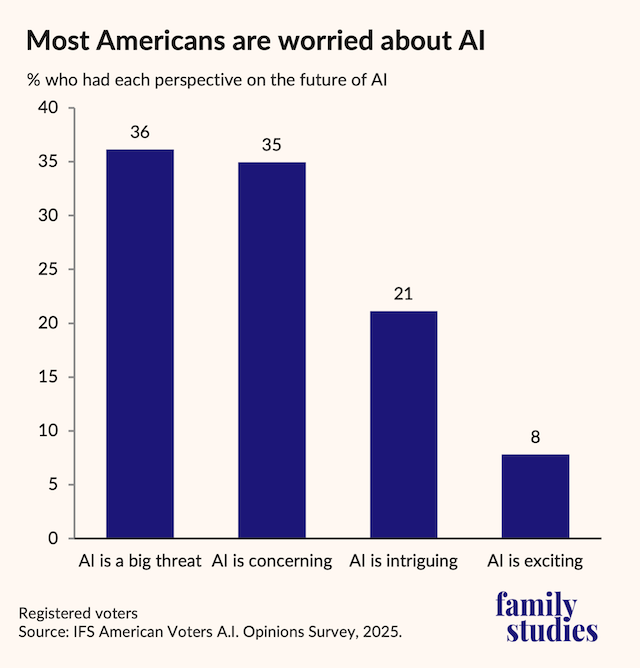 Bar graph showing percent of voters who had each perspective on the future of AI