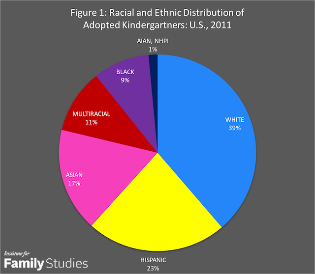 Us Demographics By Race Pie Chart