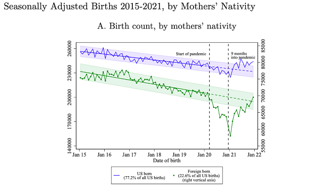 Baby Boom or Bust?