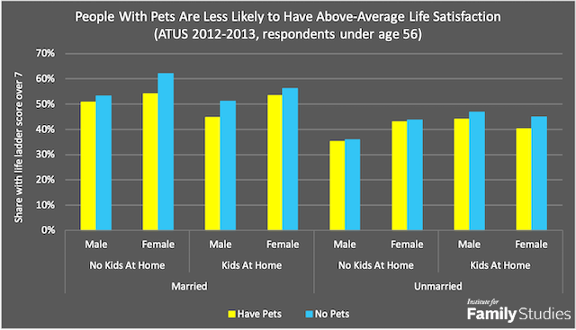 Is owning pets ethical? Here's the truth about pet happiness. - Vox