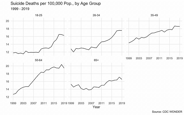 COVID, Closeness, and the (Possible) Causes of Our Suicide Crisis