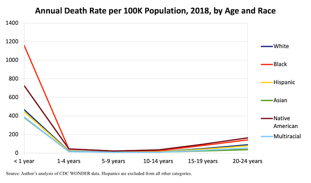 Highest Mortality Rate Meaning