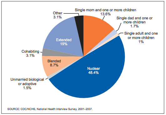 us ingle parent household by race